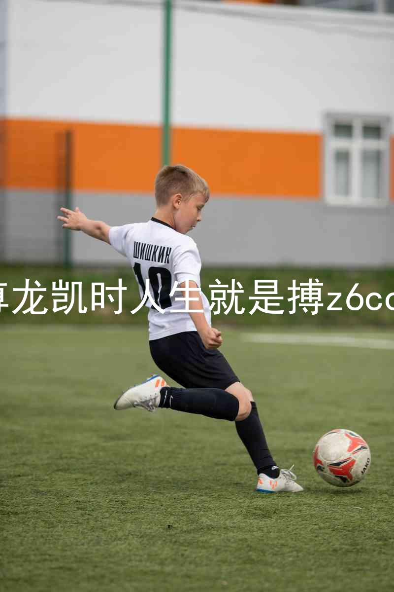 尊龙凯时人生就是搏z6com